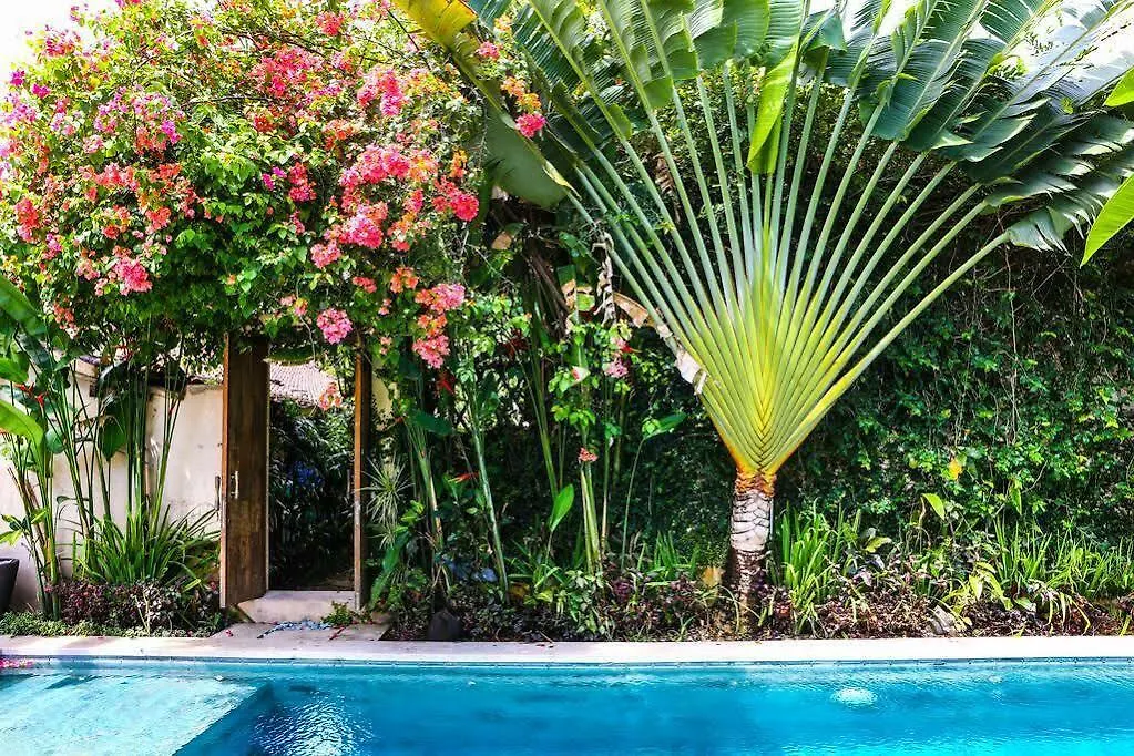 Villa Saffira Seminyak